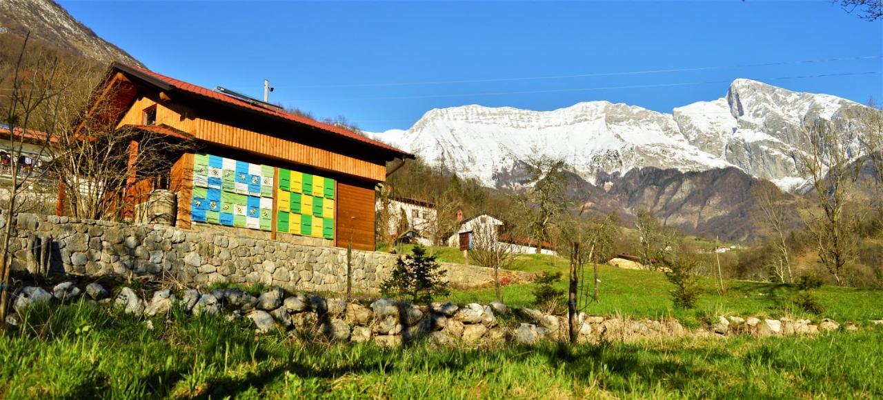Sleeping With The Bees Kozjak Kobarid Luaran gambar
